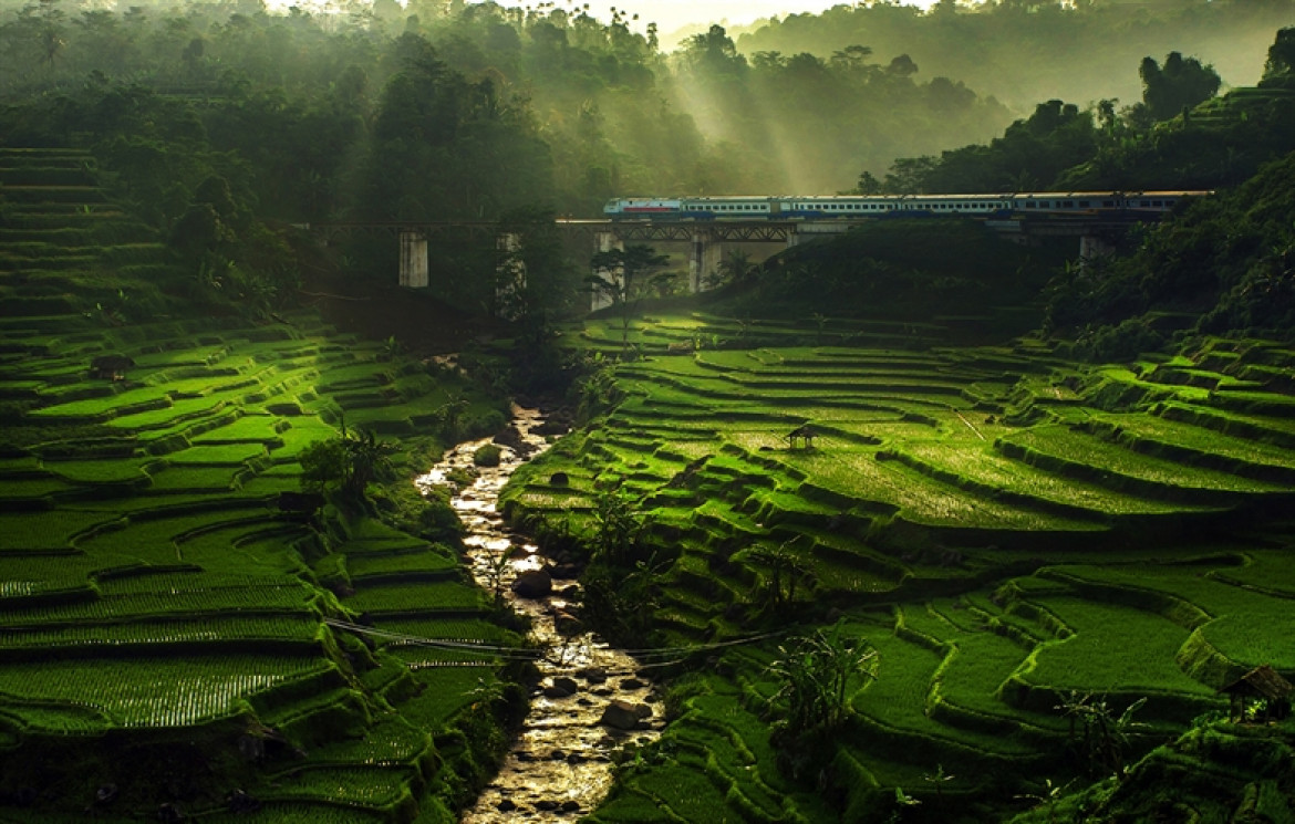 fot. Ismail Abdul Mutalib, 2015 Sony World Photography Awards