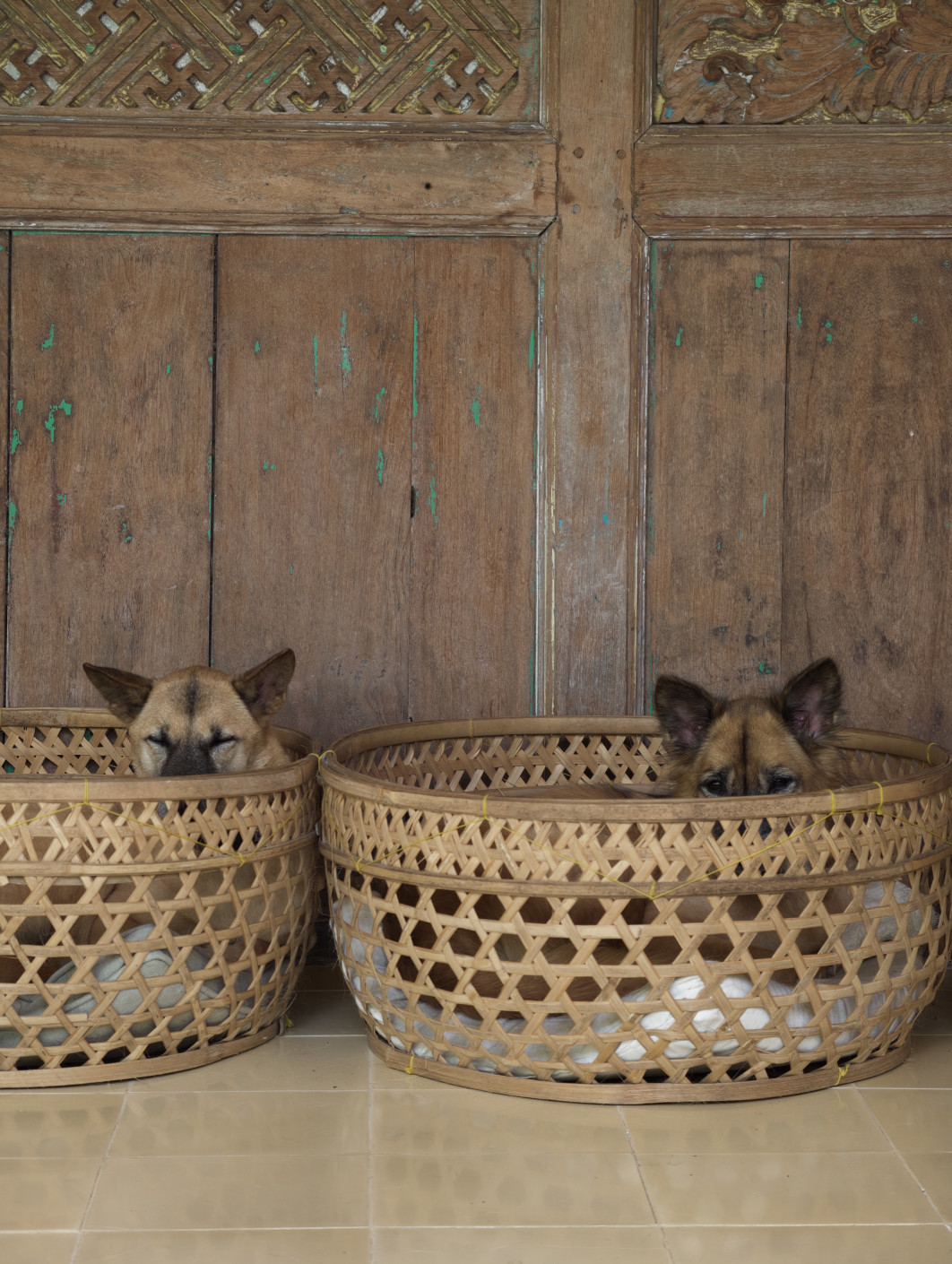 1/100 s, f/2,7, ISO 874, 85 mm