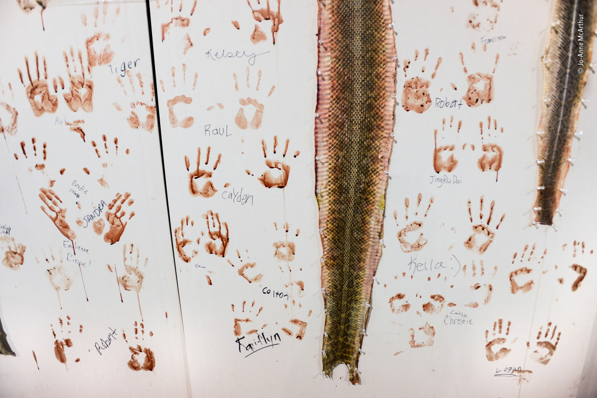 fot. Jo Anne McArthur, "The wall of shame" / Wildlife Photographer of the Year 2019<br></br><br></br>Skóry grzechotnika otoczone triumfatorskimi podpisami osób, które brały udział w skórowaniu węży podczas corocznego spędu grzechotników w Sweetwater w Teksasie. Wiosną za pomocą beznyny grzechotniki wyganiane są ze swoich legowisk, a następnie przewożone na 4-dniowy festiwal, podczas którego zabijane są ku uciesze gawiedzi, która płaci za możliwość własnoręcznego skórowania. Obrońcy tych wydarzeń twierdzą, że są one potrzebne w celu zmniejszenia populacji jadowitych węży i zapewniania większego bezpieczeństwa trzodzie chlewnej i ludziom.