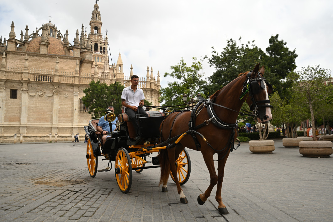 1/800 s, f/4, ISO 100, 28.0 mm