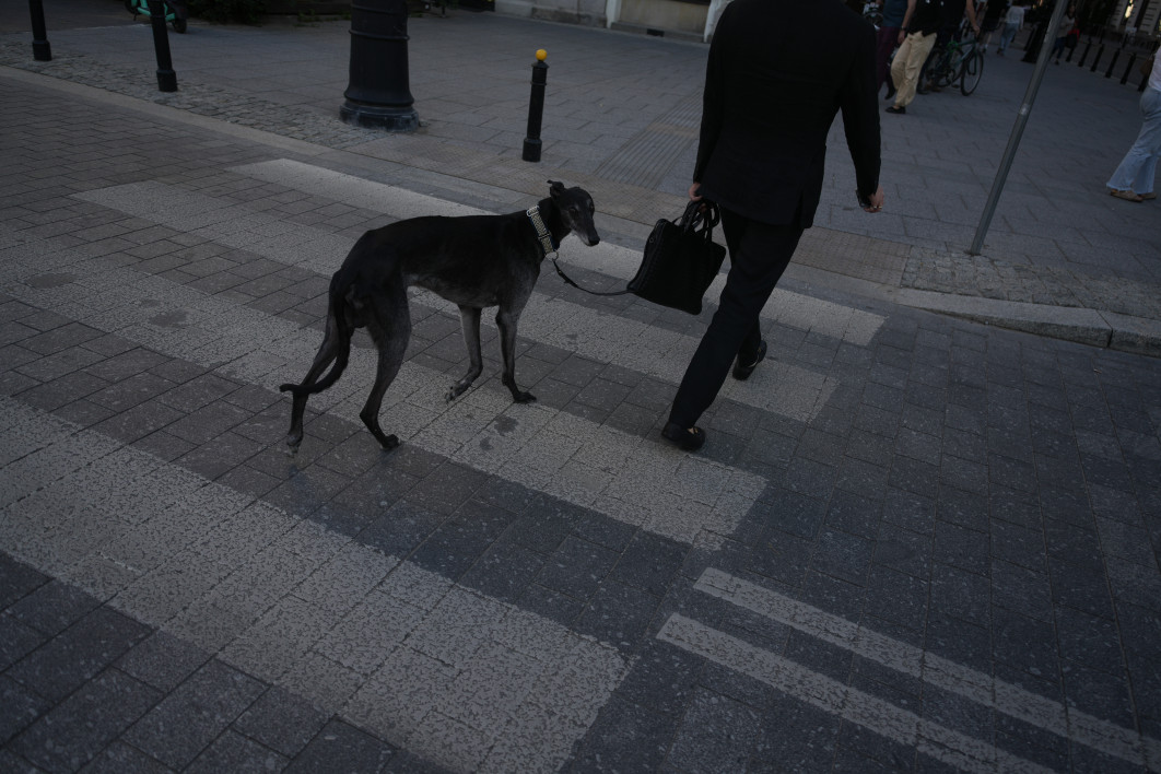 1/640 s, f/2.8, ISO 100, 26.0 mm