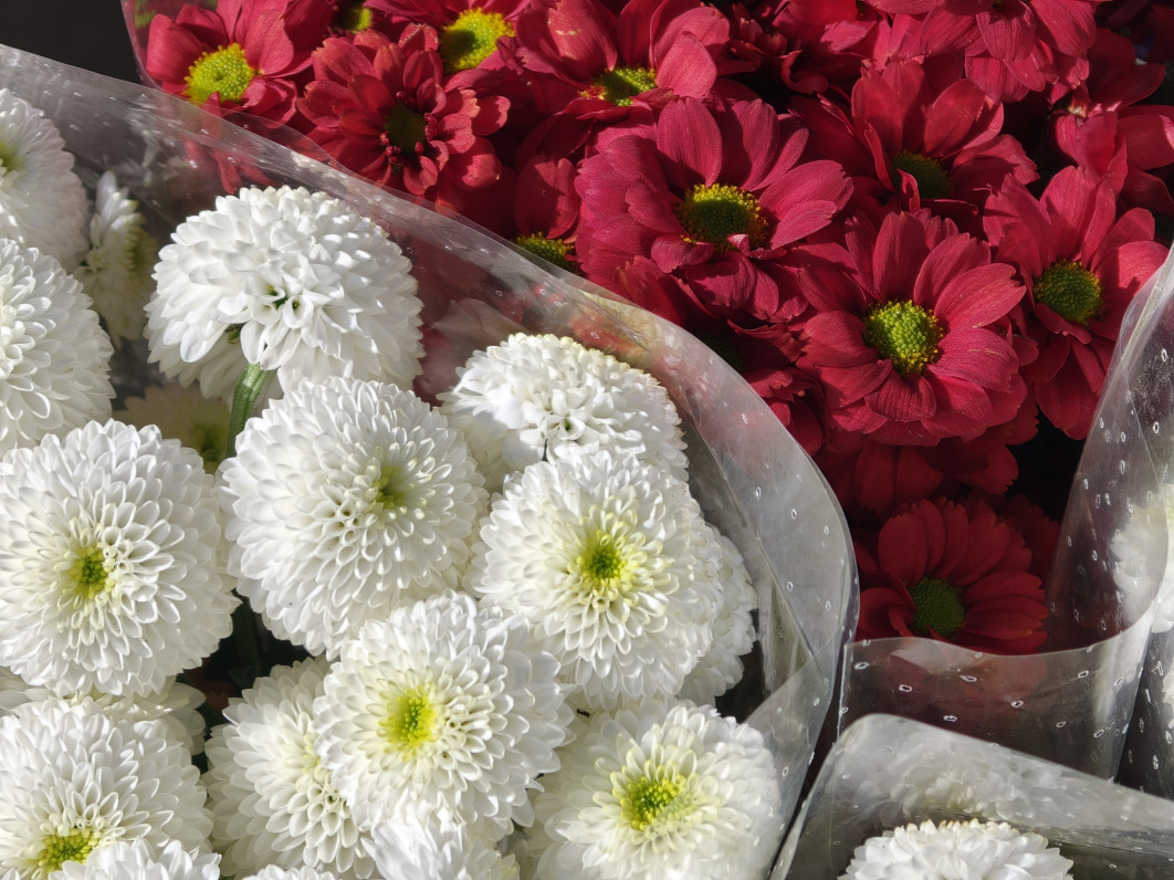 1/294 s, f/2.1, ISO 50, 140 mm