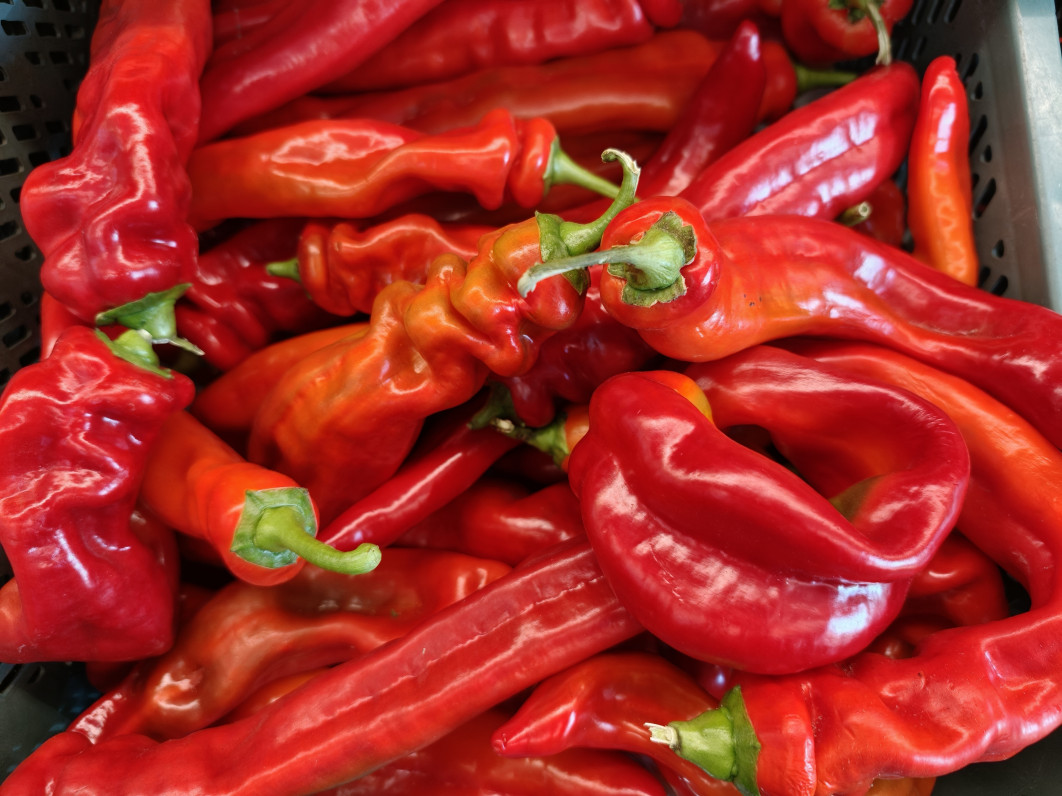 1/402 s, f/1.5, ISO 1000, 23 mm