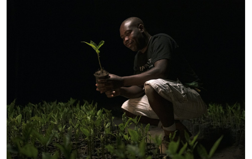 fot. Eric Smith / Decade of ChangePracownik The Eden Reforestation Projects - organizacji non-profit zatrudniającej lokalnych mieszkańców do uprawy i sadzenia drzew na całym świecie.