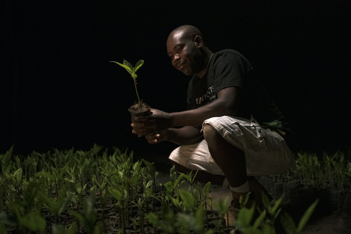 fot. Eric Smith / Decade of Change<br></br><br></br>Pracownik The Eden Reforestation Projects - organizacji non-profit zatrudniającej lokalnych mieszkańców do uprawy i sadzenia drzew na całym świecie.