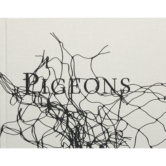 Stephen Gill Pigeons, dzięki uprzejmości AMC Books