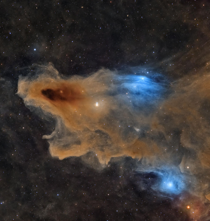 „Cichy drapieżnik” najlepszym zdjęciem konkursu Astronomy Photographer of the Year 2026. W jednej z kategorii jest też zwycięzca z Polski!
