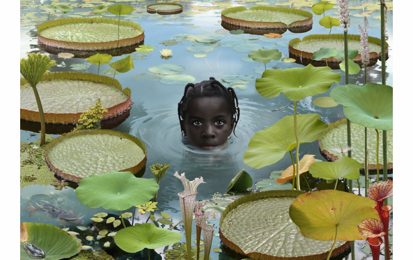 ⓒ Ruud van Empel