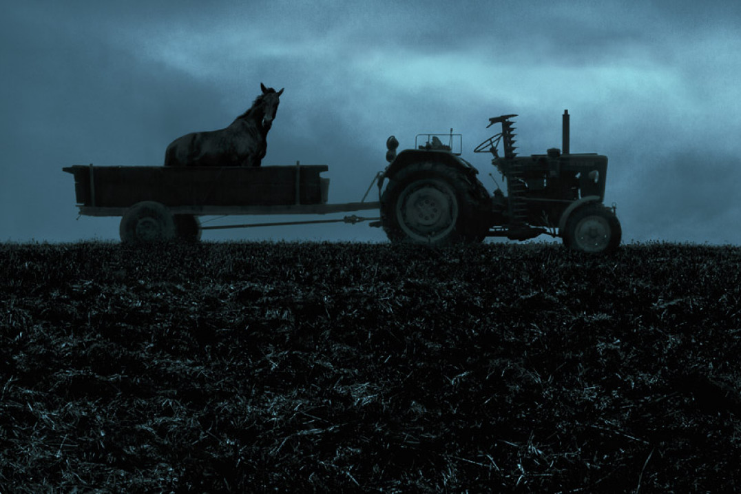 Wystartował TIFF Festival 2019!