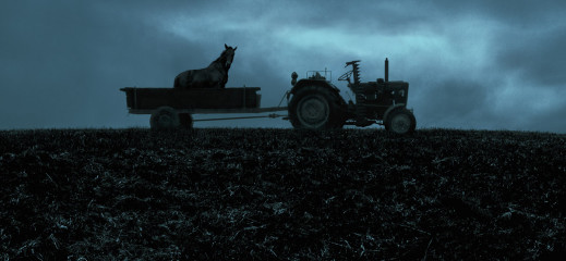 Wystartował TIFF Festival 2019!