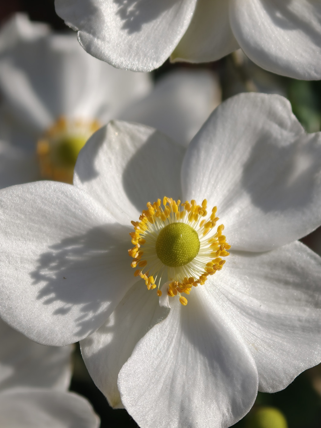 1/513 s, f/2.1, ISO 50, 140 mm