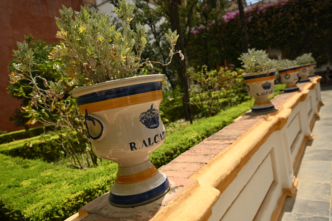 1/1250 s, f/3.5, ISO 100, 25.0 mm