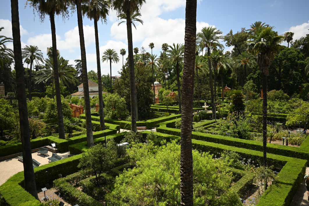 1/2000 s, f/2.8, ISO 100, 23.5 mm