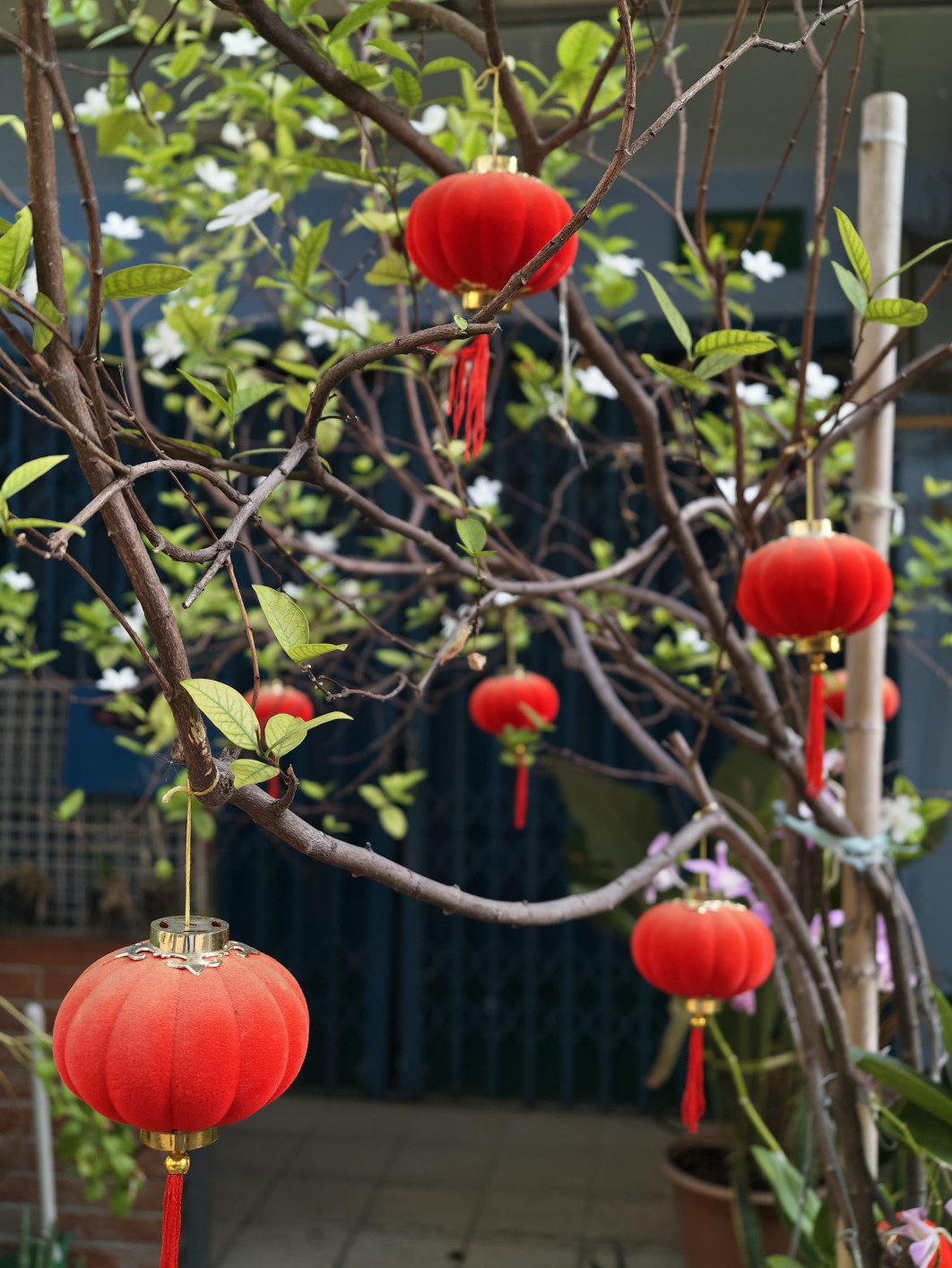 1/100 s, f/1,85, ISO 62, 35 mm