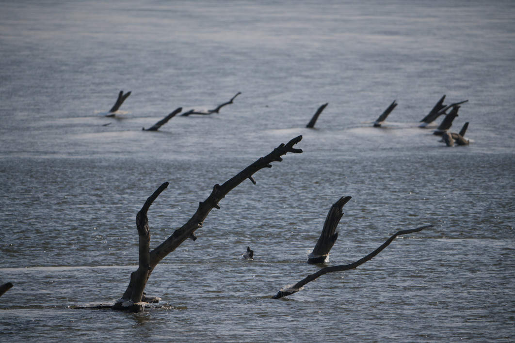 1/400 s, f/8, ISO 100, 800.0 mm