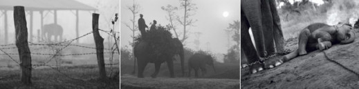 Czwarta edycja Wielkiego Konkursu Fotograficznego National Geographic rozstrzygnięta