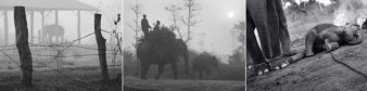 Czwarta edycja Wielkiego Konkursu Fotograficznego National Geographic rozstrzygnięta