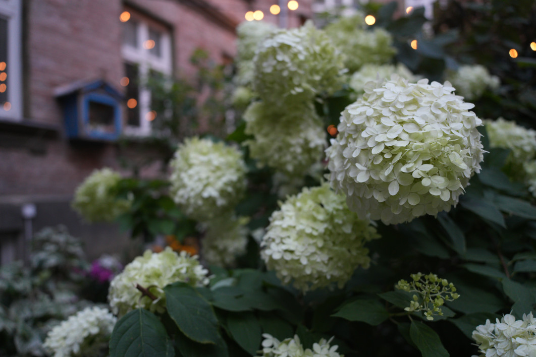 1/500 s, f/2.8, ISO 1000, 26.0 mm