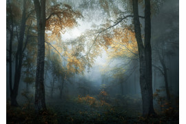 fot. Veselin Atanasov, "Early Autumns", Bułgaria.

1. miejsce w kategorii Krajobrazy i Natura