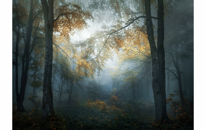fot. Veselin Atanasov, Early Autumns, Bułgaria.

1. miejsce w kategorii Krajobrazy i Natura