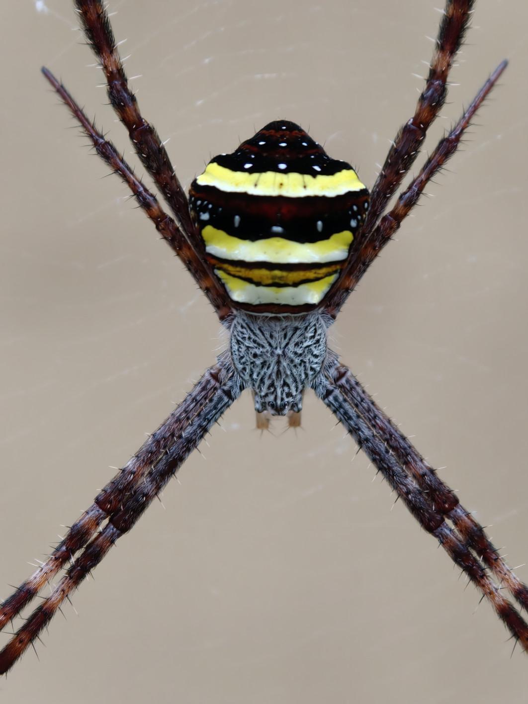 1/85 s, f/2.1, ISO 3200, 140 mm