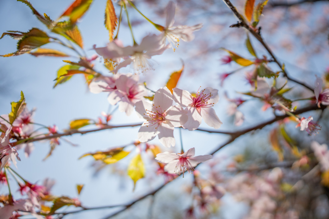 1/8000 s, f/1.4, ISO 100, 12.0 mm