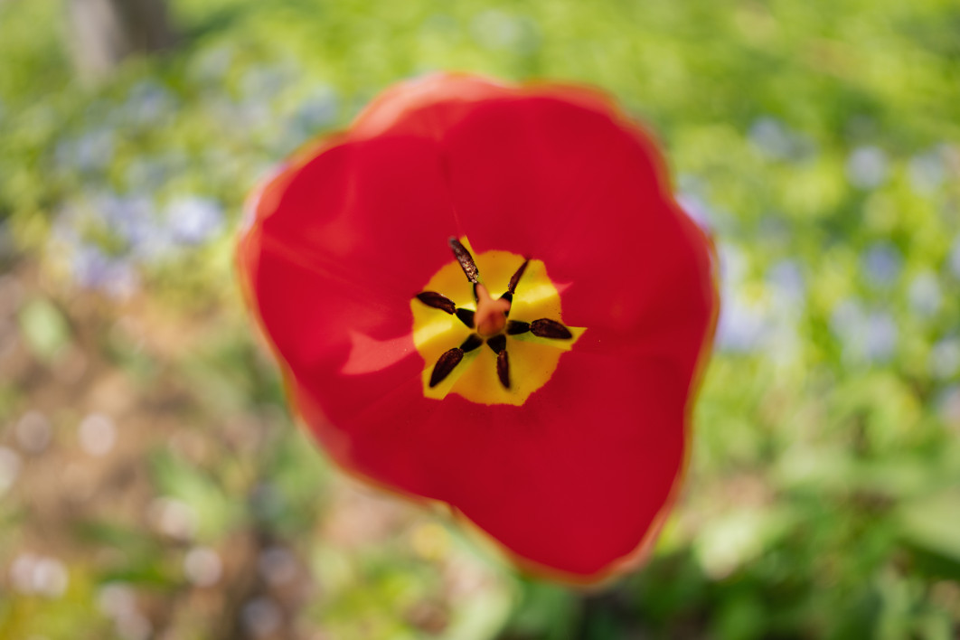 1/1000 s, f/1.4, ISO 100, 12.0 mm