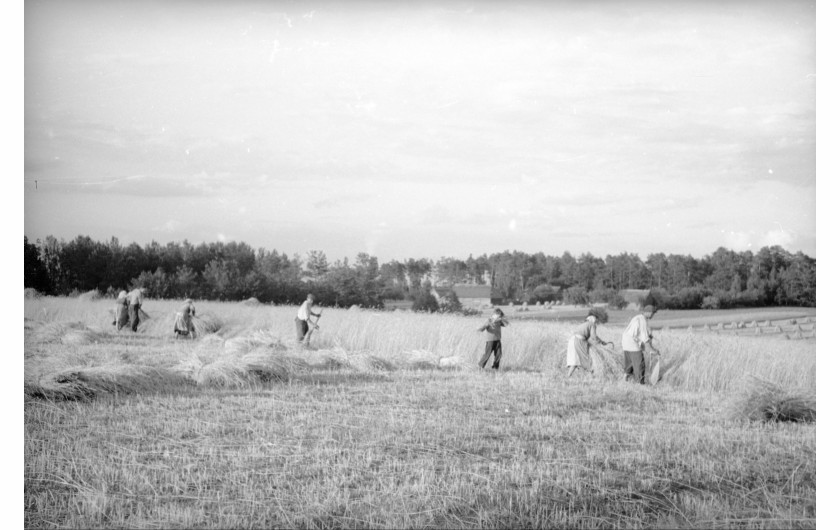 Zdjęcia z Archiwum Fotograficznego Wojciecha Tuszko (NAC), dzięki uprzejmości Narodowego Archiwum Cyfrowego