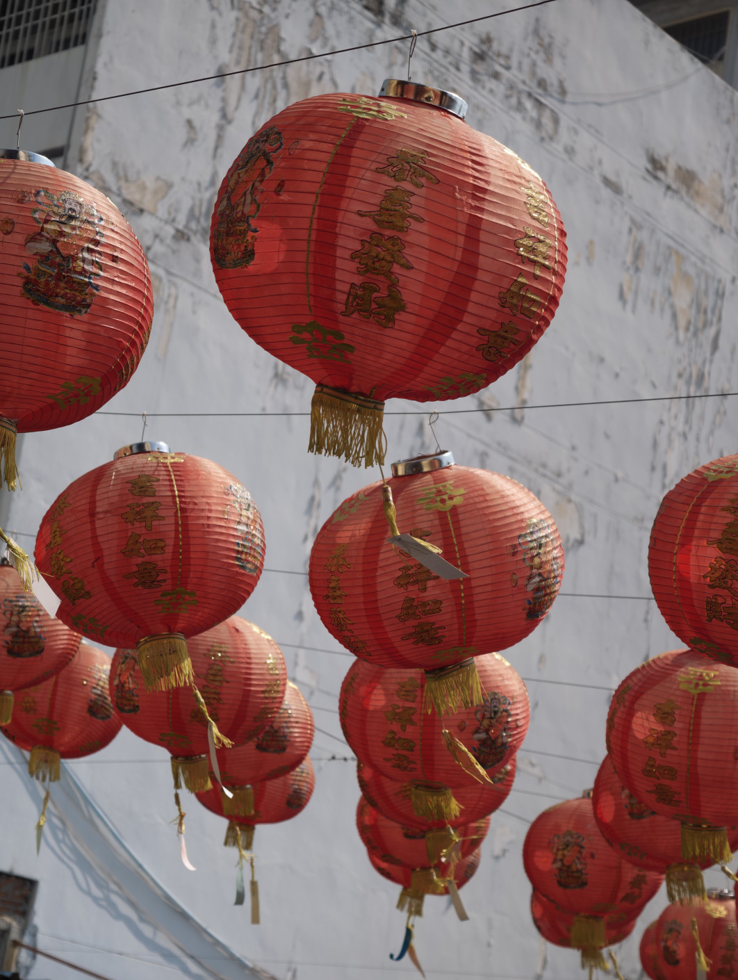 1/561 s, f/2,7, ISO 50, 85 mm