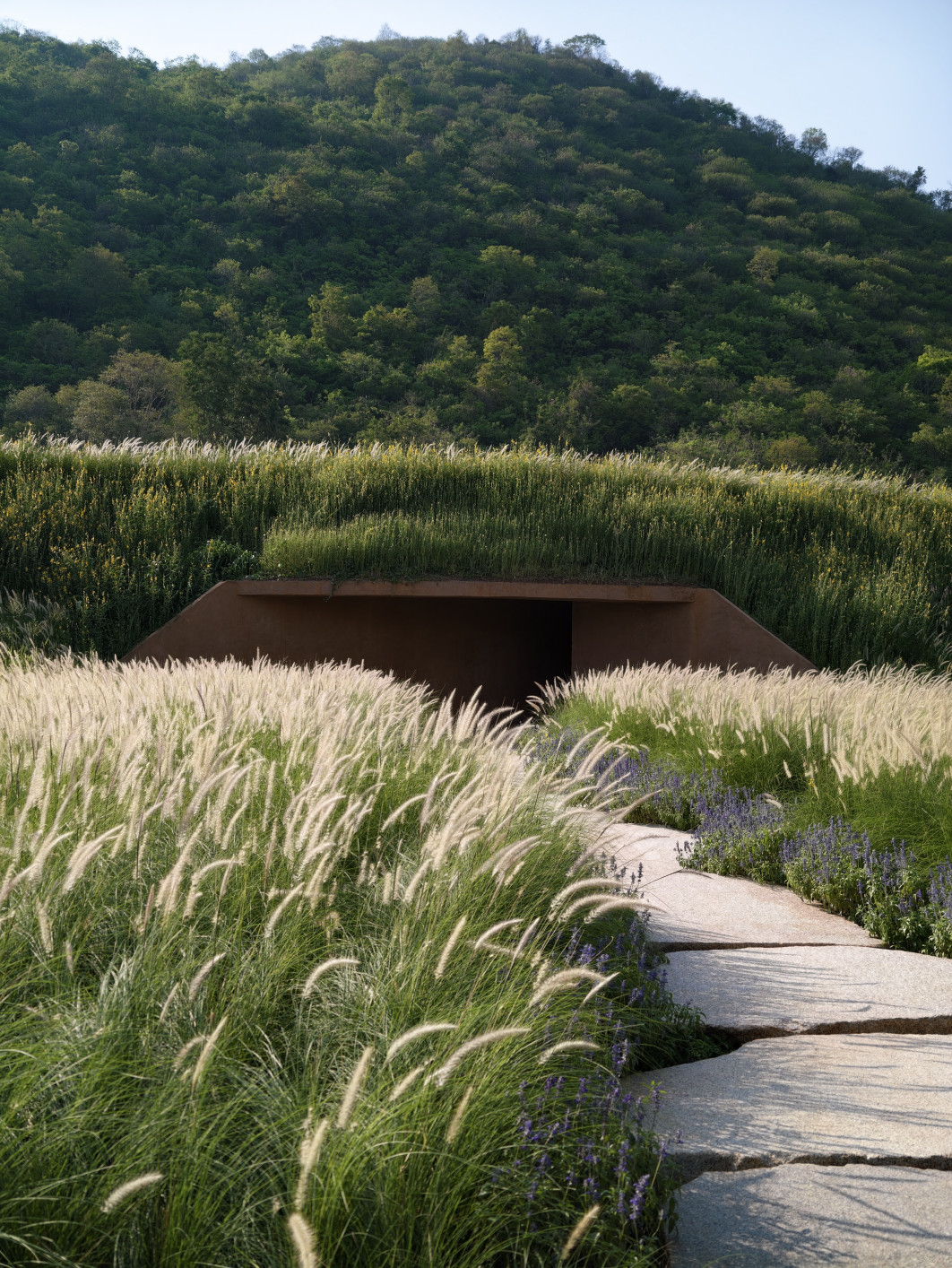  1/946 s, f/1,85, ISO 50, 35 mm