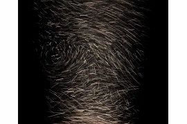 Lee Jones - 3. miejsce w kategorii "Abstract"
