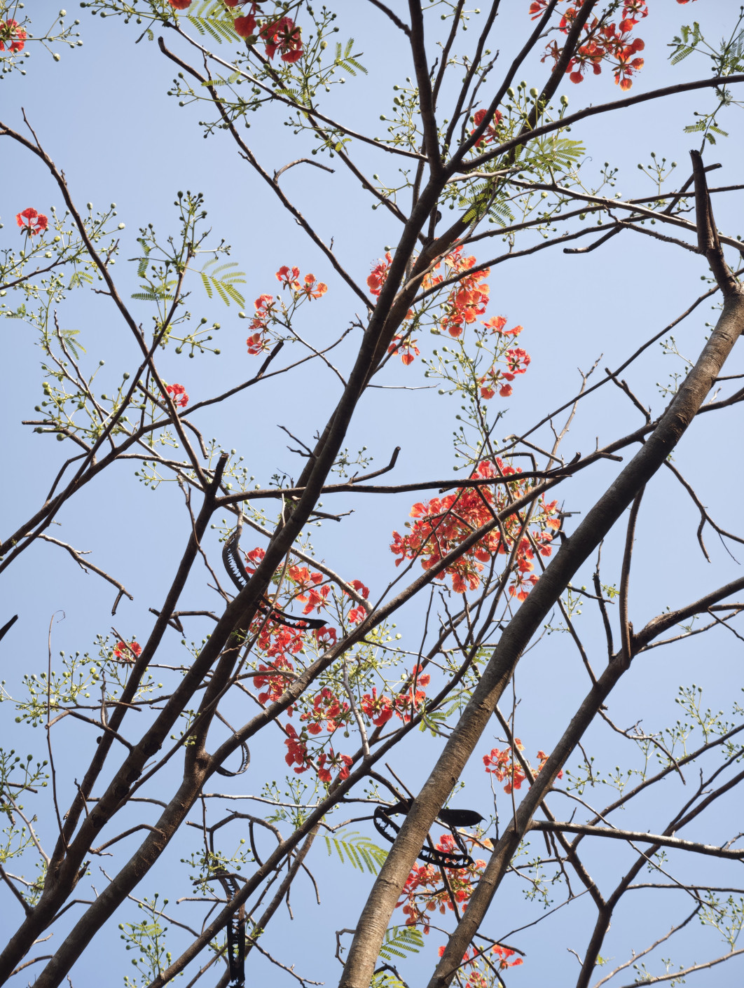 1/120 s, f/2,67, ISO 50, 85 mm