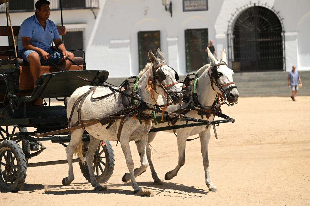 1/250 s, f/6.3, ISO 50, 180.0 mm