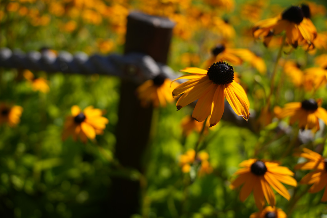 1/1250 s, f/2.8, ISO 100, 26.0 mm