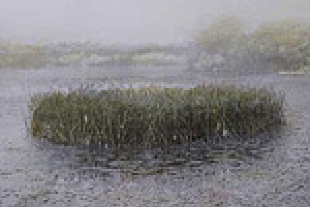 Fotograf niedzielny - Znowu o banale i jak go unikać