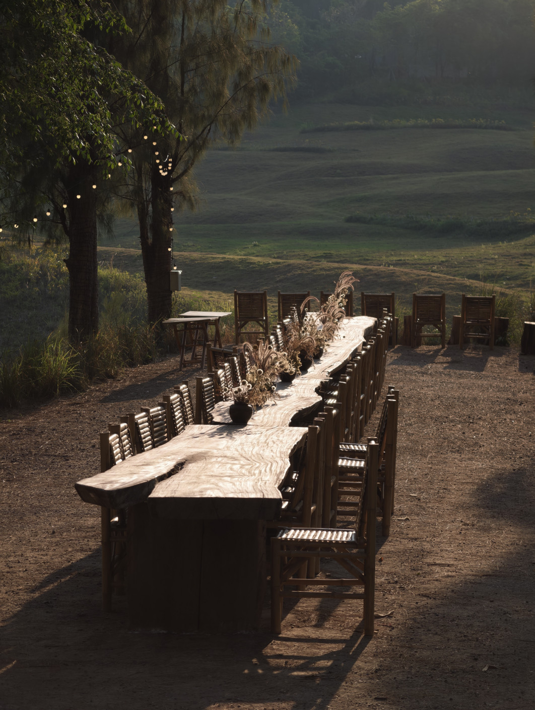 1/192 s, f/2,7, ISO 50, 85 mm