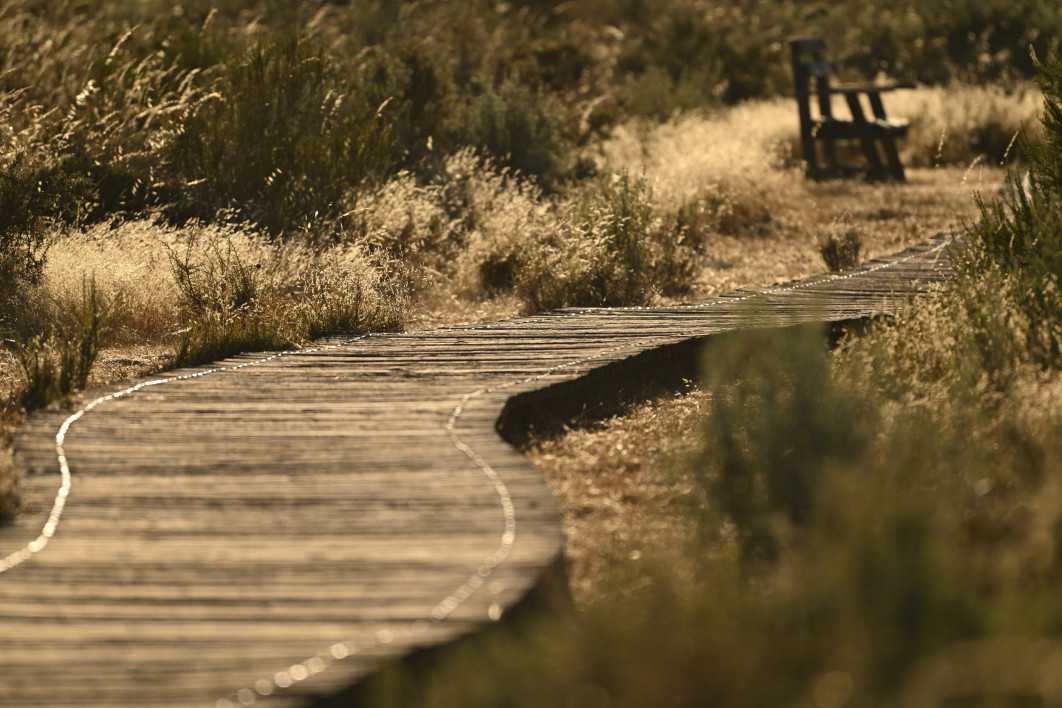 1/3200 s, f/6.3, ISO 500, 600.0 mm