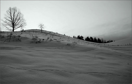 Warsztaty "Fotografia w twórczych Bieszczadach"