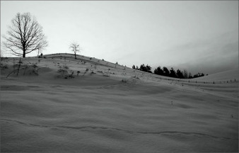 Warsztaty &quot;Fotografia w twórczych Bieszczadach&quot;