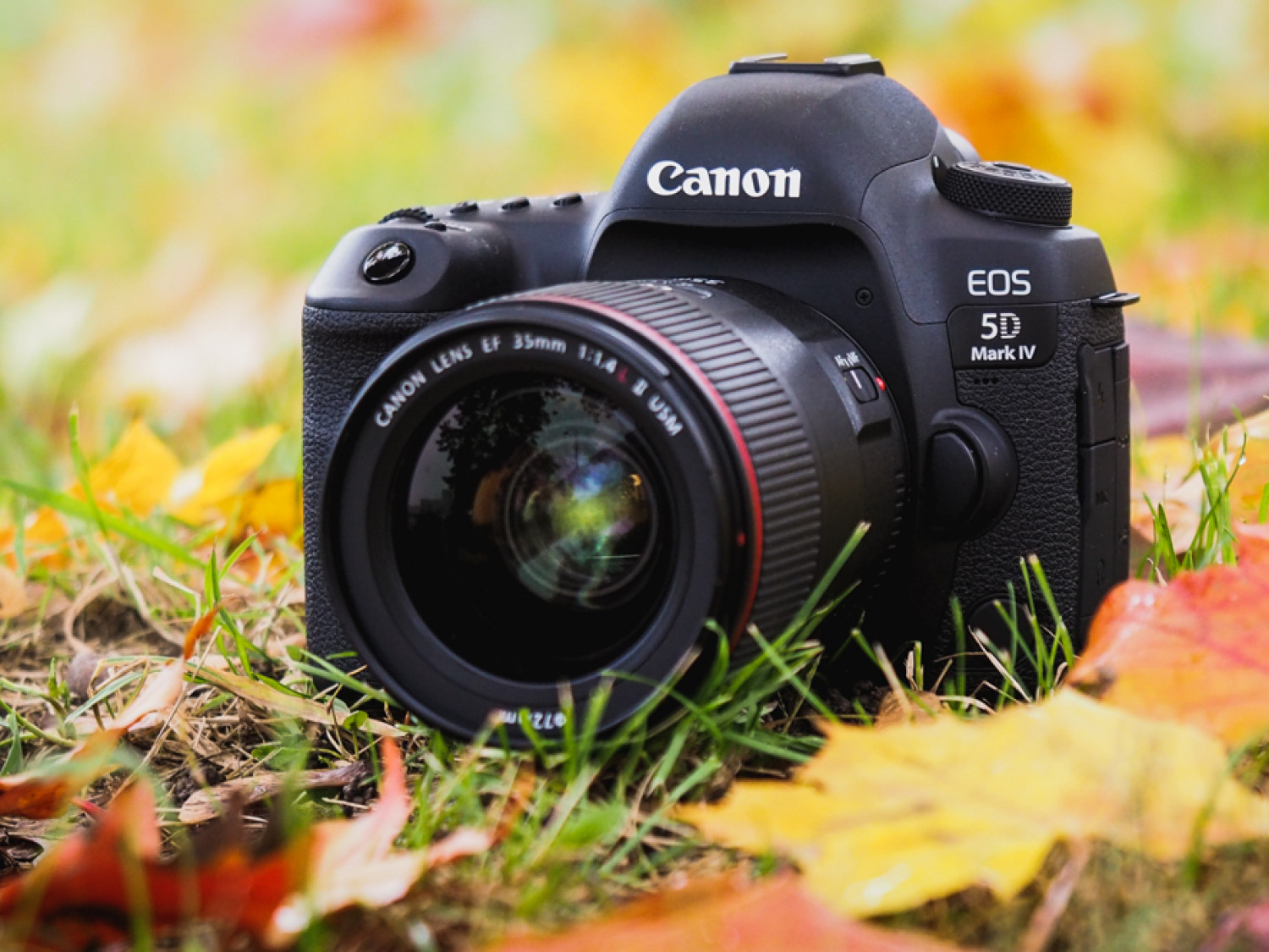 Canon EOS 5D Mark IV - Specyfikacja | Fotopolis.pl