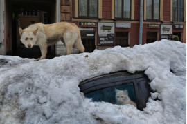 fot. Alexander Petrosyan