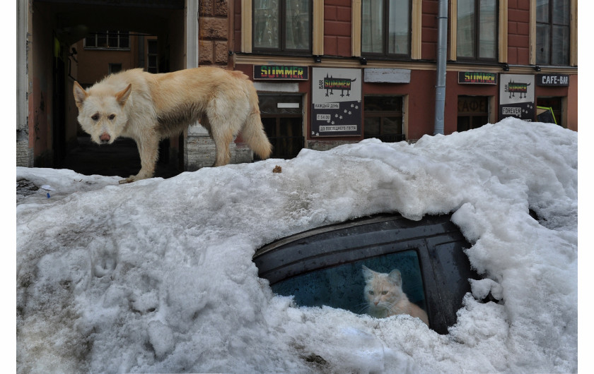 fot. Alexander Petrosyan