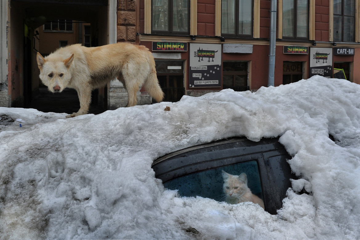 fot. Alexander Petrosyan