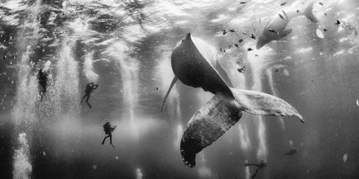 National Geographic Traveler Photo Contest 2015 - nagrodzone prace