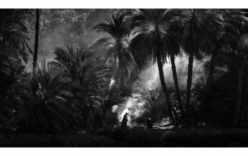 fot. Hans Wichmann, Palm Grove, 1. miejsce w kat. Nature & Landscape / Siena Creative Photo Awards 2021
