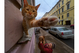 fot. Alexander Petrosyan