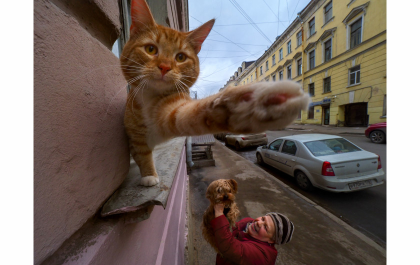 fot. Alexander Petrosyan