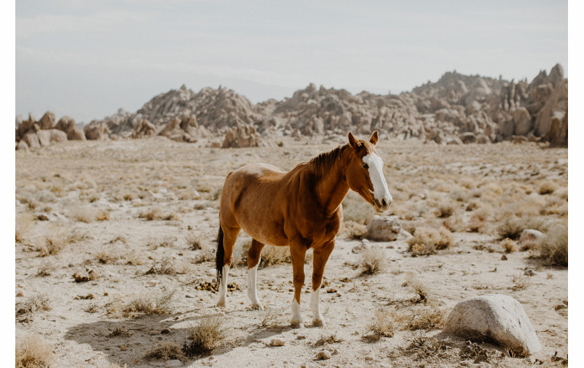 fot. Justyna Zduńczyk, California 2017