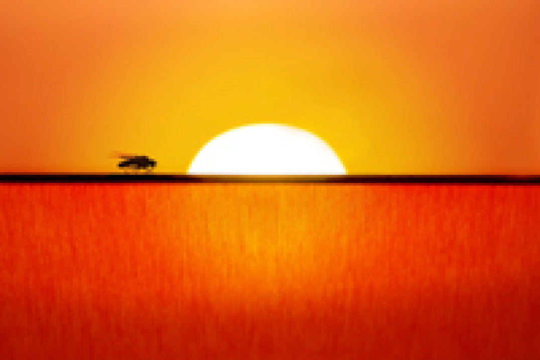 "Ekologia w obiektywie" - Ogólnopolski Konkurs Fotograficzny firmy Bayer rozstrzygnięty!