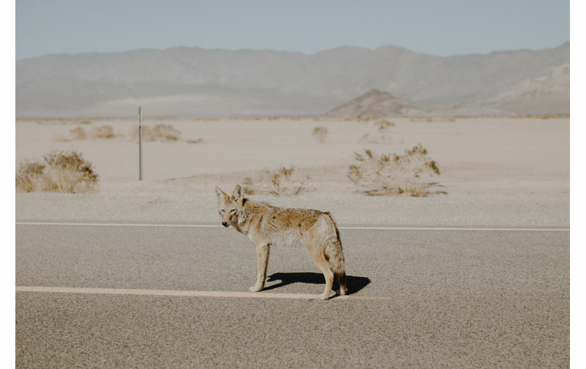 fot. Justyna Zduńczyk, California 2017